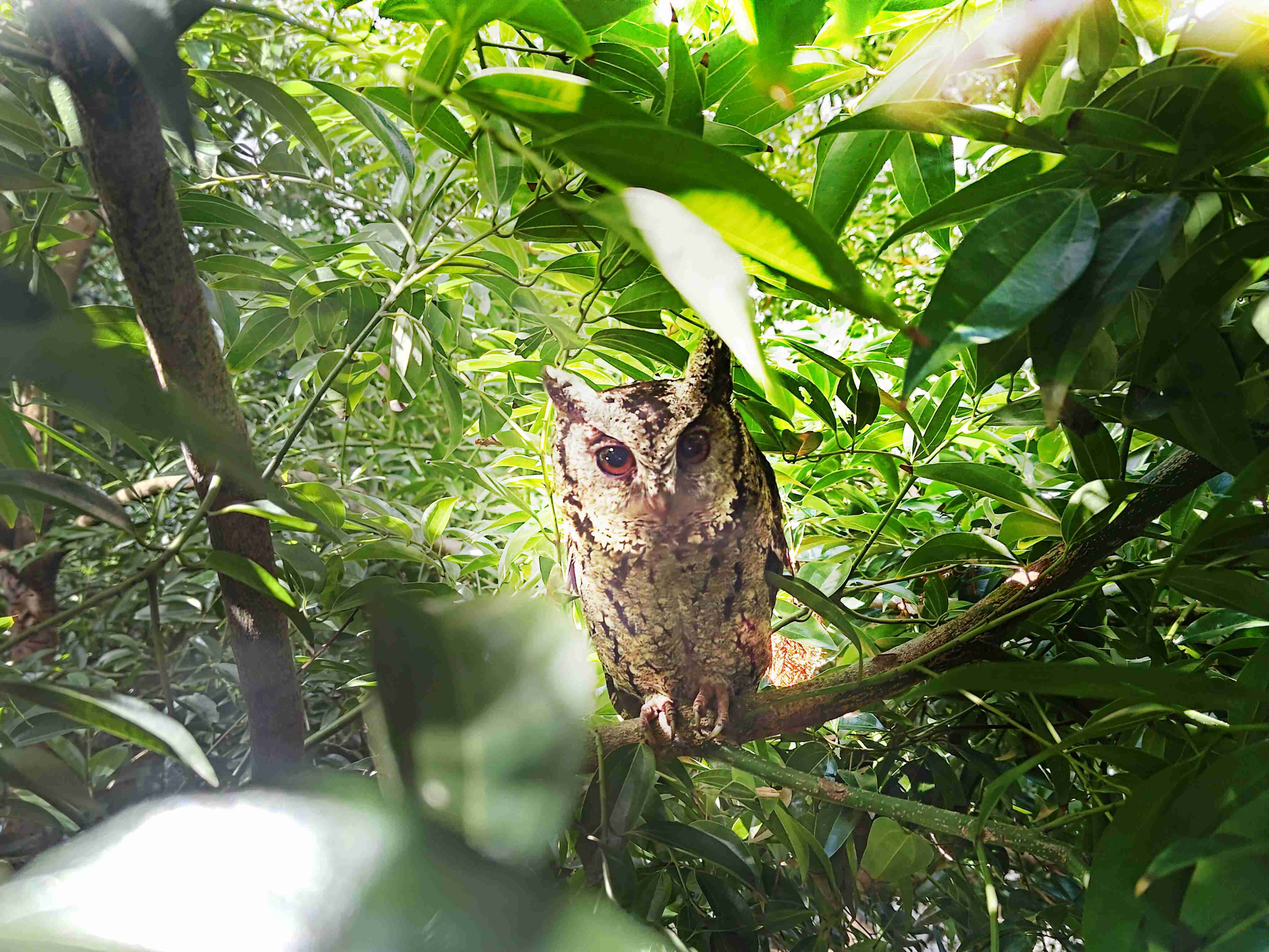 z6mg·人生就是博致力提倡净零绿生活，，，，16年以来在全球各厂区植树逾百万棵，，，，造就各厂区树木蔚然成林，，，犹如森林工厂，，，成为许多生物的栖息地